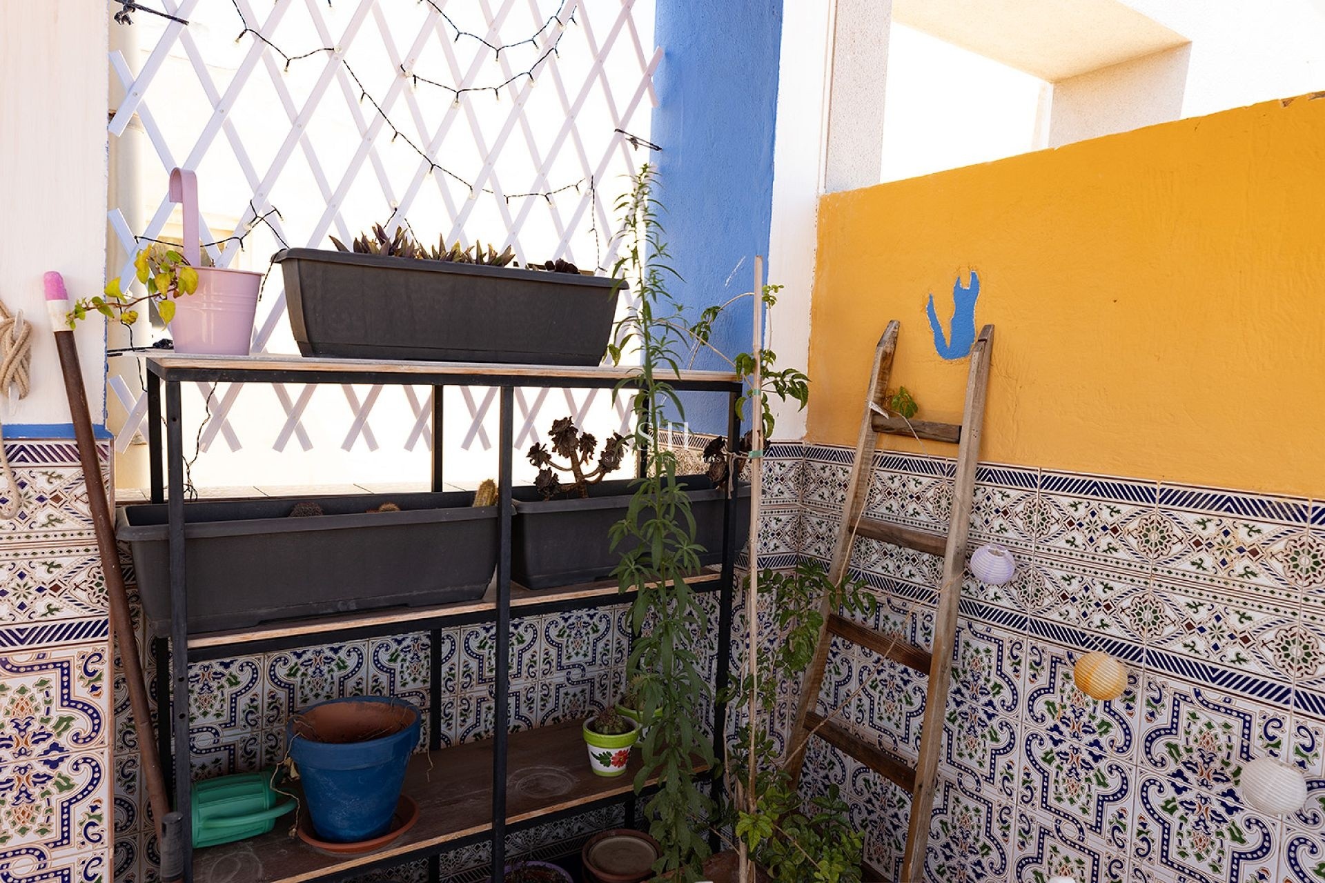 Herverkoop - Appartement / flat - Torrevieja - Costa Blanca