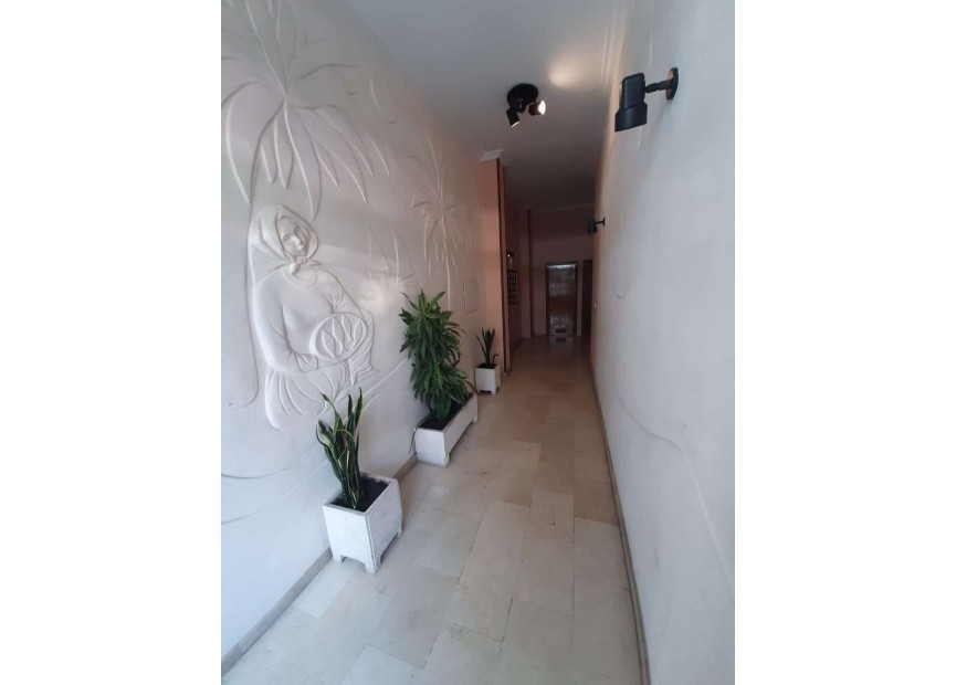 Herverkoop - Appartement / flat - Torrevieja - Costa Blanca