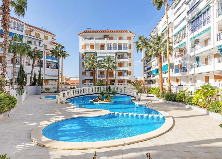 Herverkoop - Appartement / flat - Torrevieja - Los Europeos