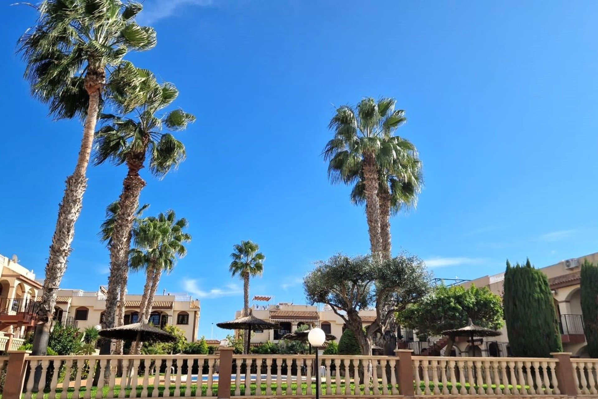 Herverkoop - Bungalow - Torrevieja - Aguas nuevas 1