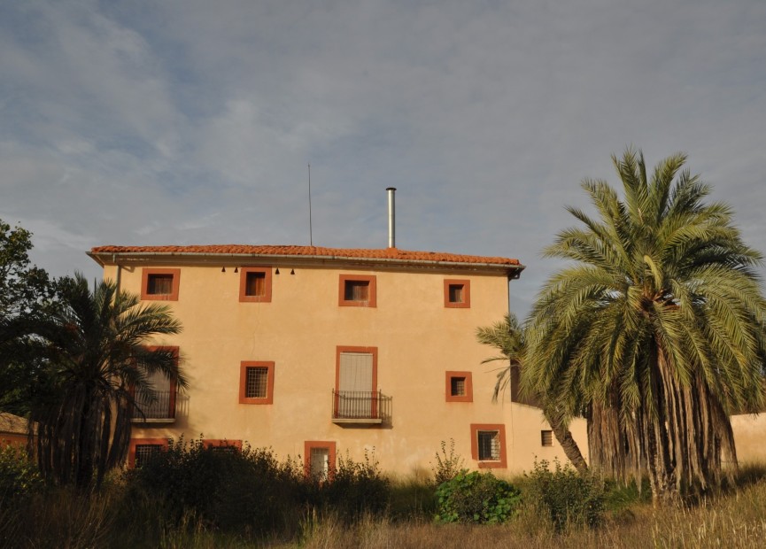 Herverkoop - Finca - Pinoso - Inland