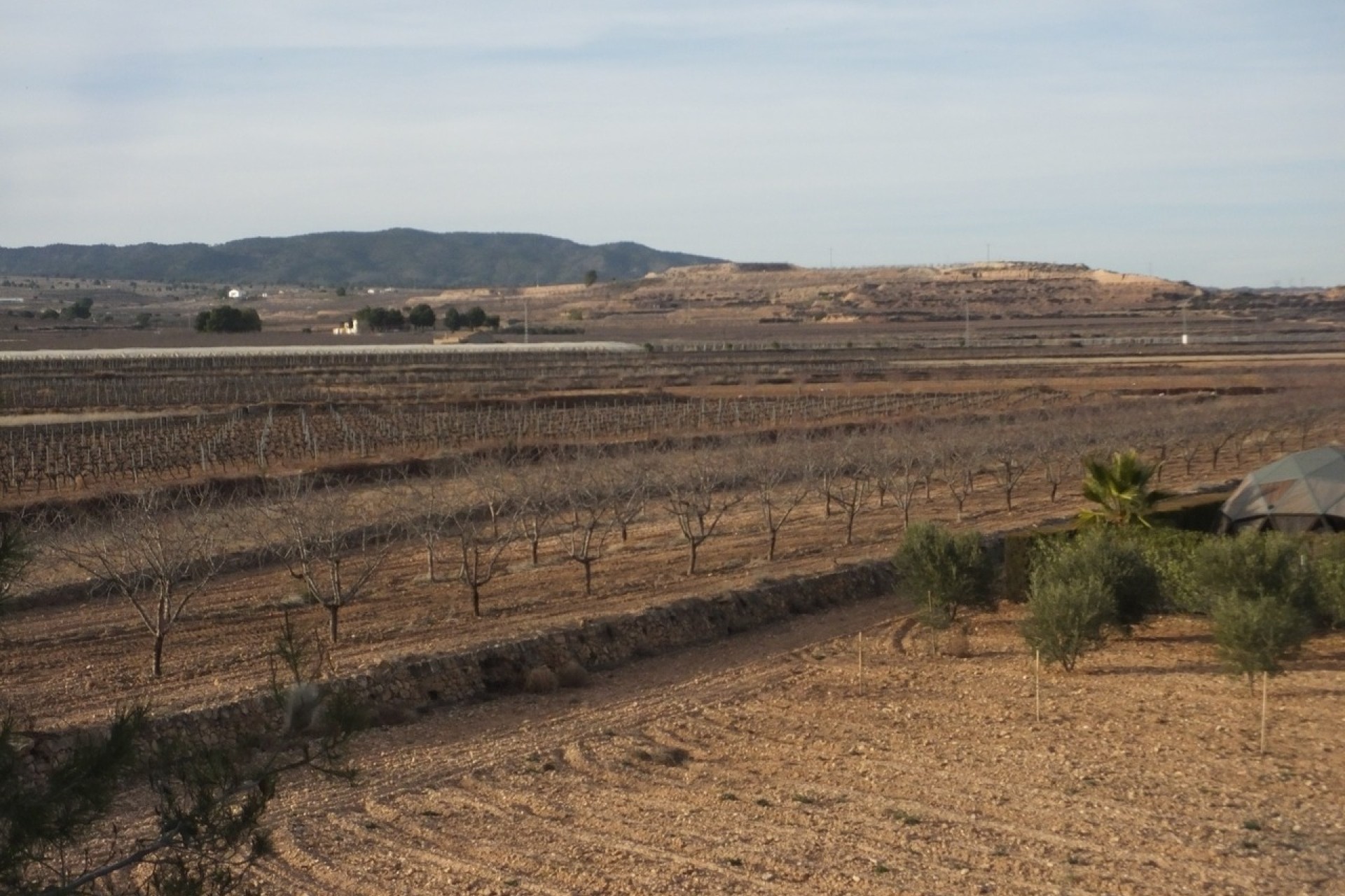 Herverkoop - Finca - Pinoso - Inland