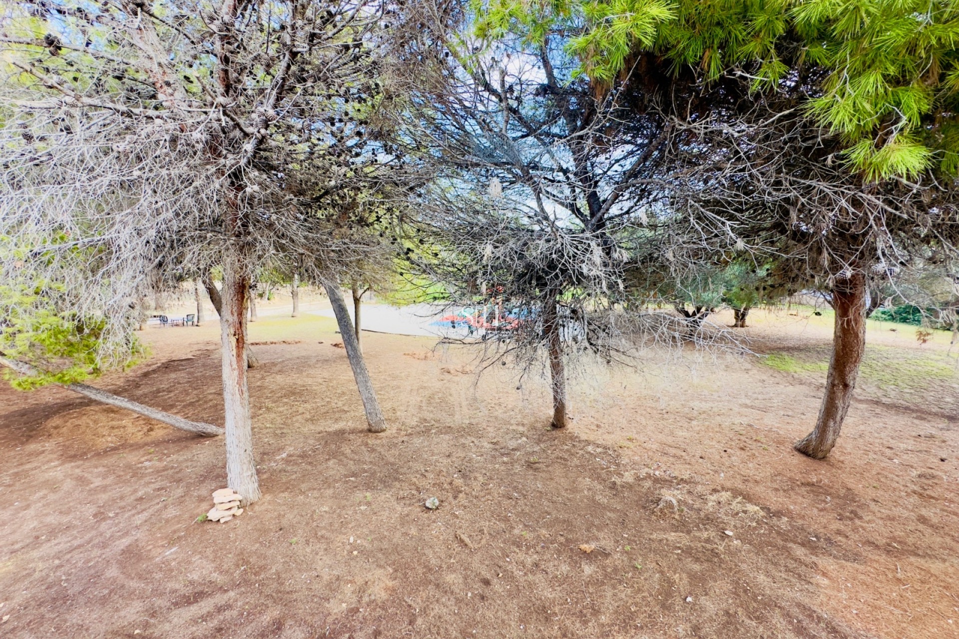 Herverkoop - Huis - Torrevieja - Los altos