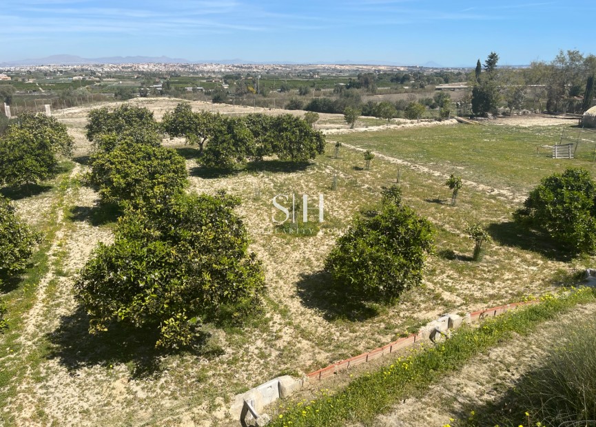 Herverkoop - Villa - Guardamar del Segura - Costa Blanca