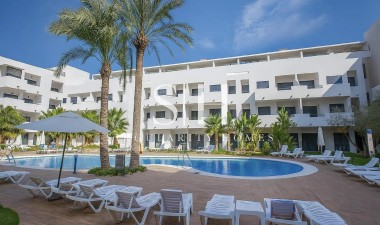 Квартира / квартира - Новое здание - Vera - Puerto del Rey