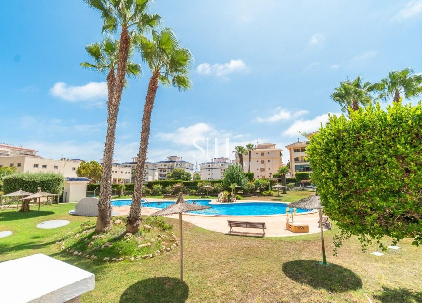 Long Term Rental - Apartment / flat - Torrevieja - La Mata