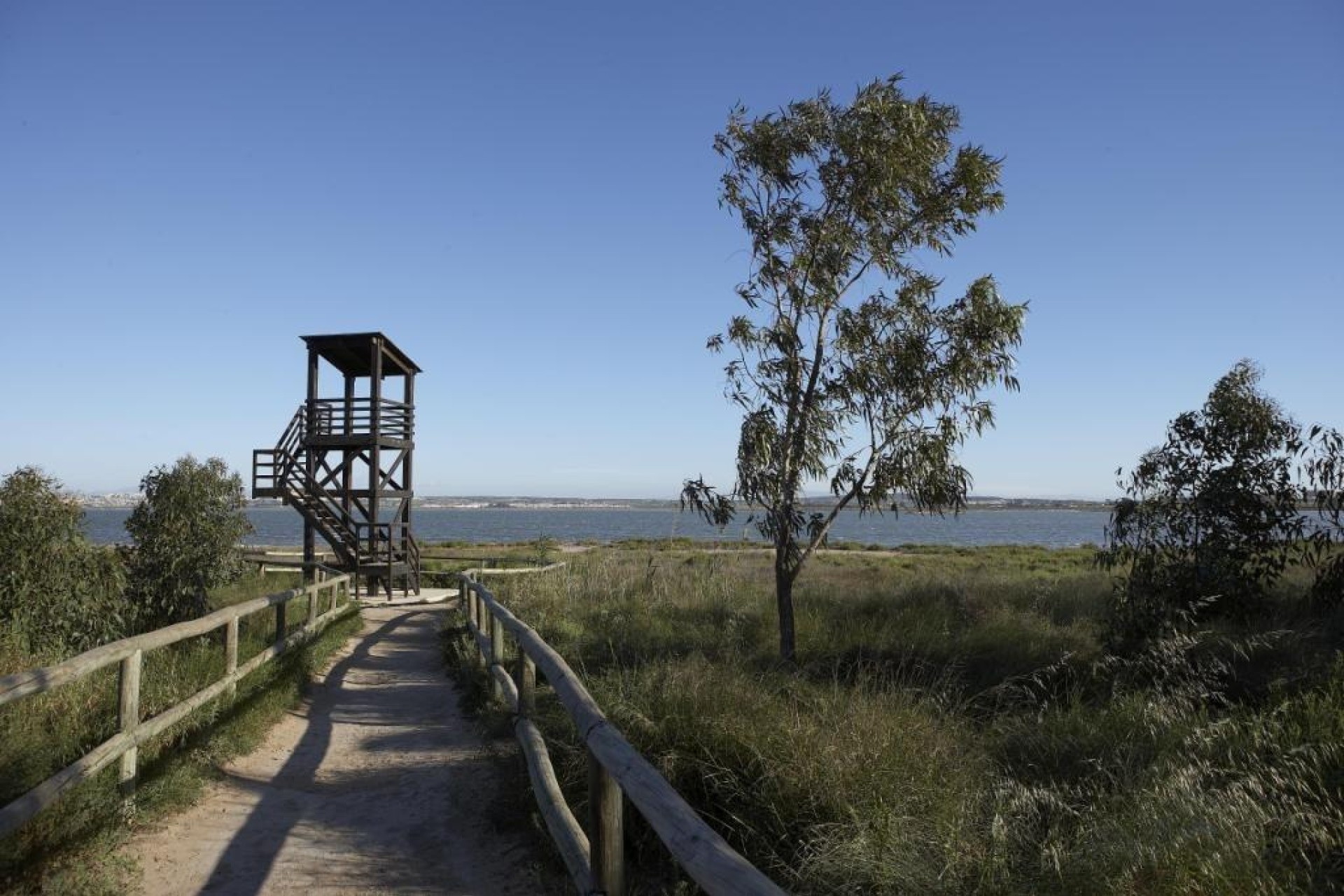 Neue Gebäude - Bungalow - Torrevieja - aguas nuevas