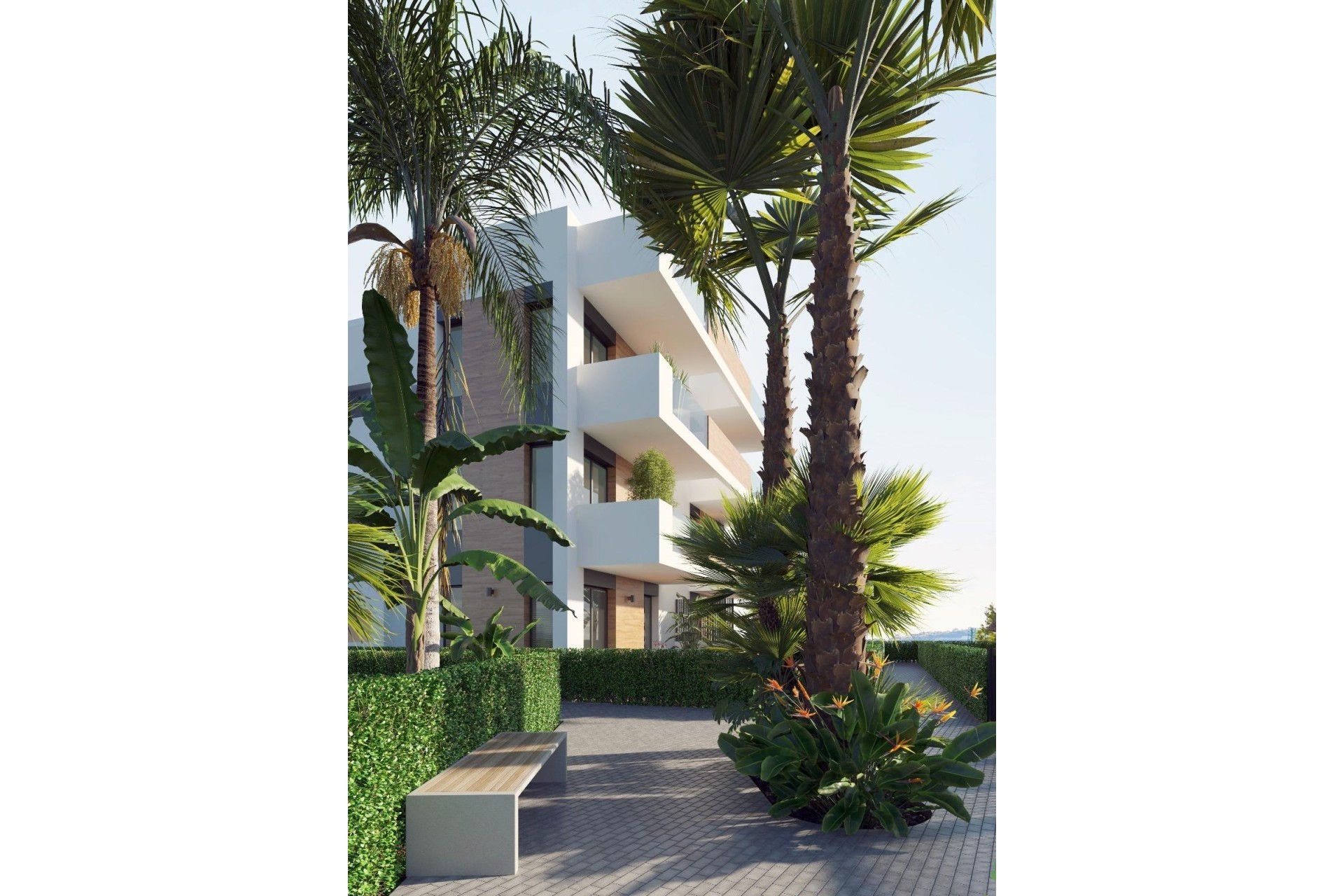 Neue Gebäude - Penthouse - Los Alcázares - Serena Golf