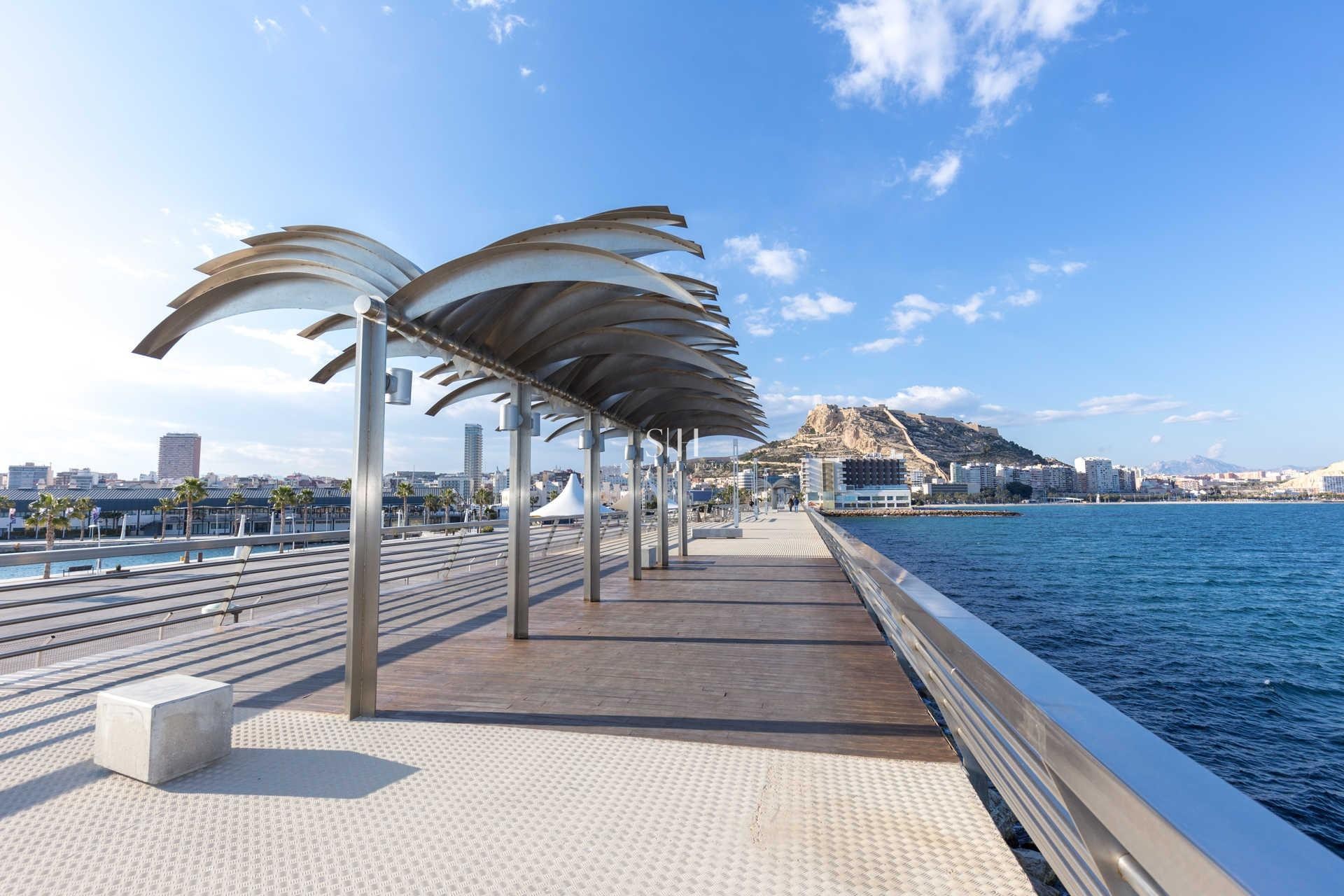 Neue Gebäude - Wohnung - Alicante - Centro