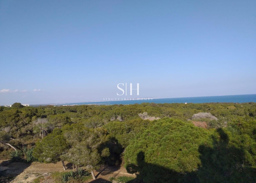 New Build - Apartment / flat - Guardamar del Segura - Pueblo