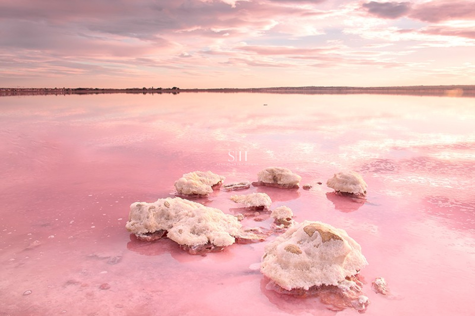 New Build - Apartment / flat - Torrevieja - El Chaparral