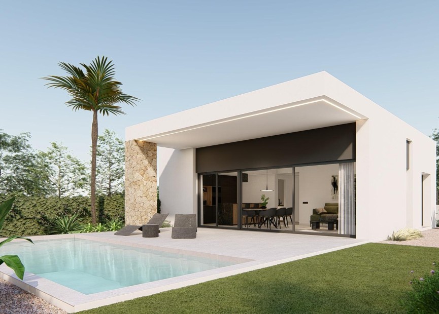 New Build - Villa - Molina De Segura - Urb. La Quinta