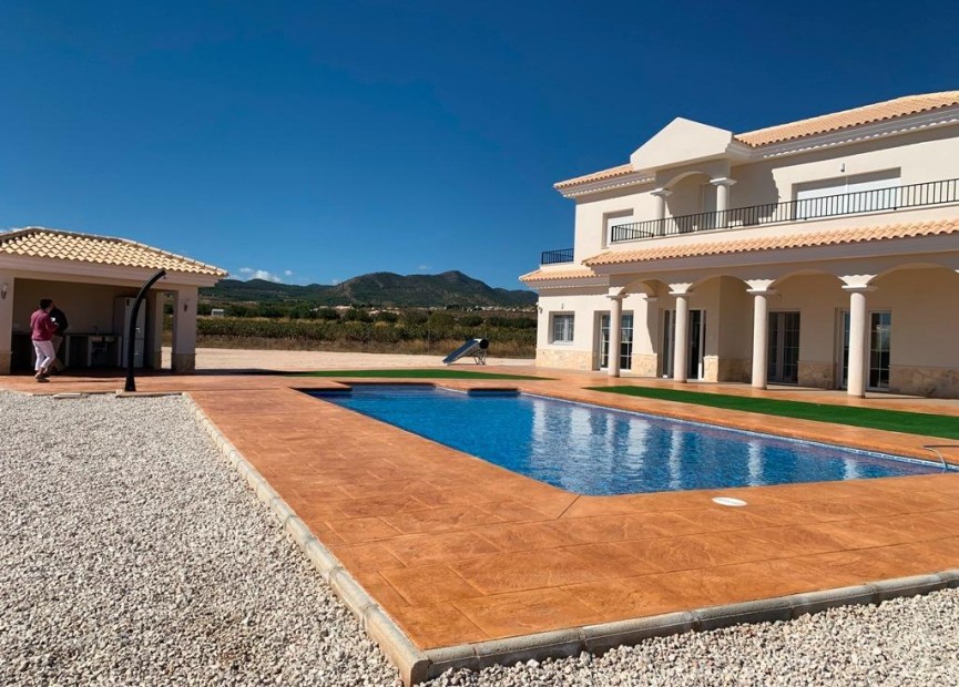 New Build - Villa - Pinoso - Camino Del Prado