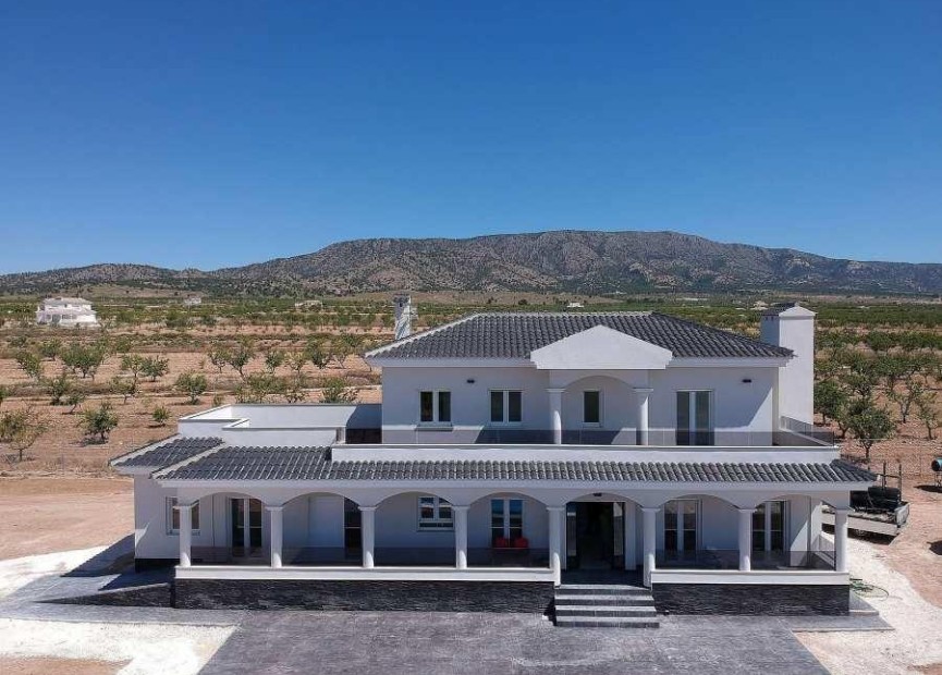 New Build - Villa - Pinoso - Camino Del Prado