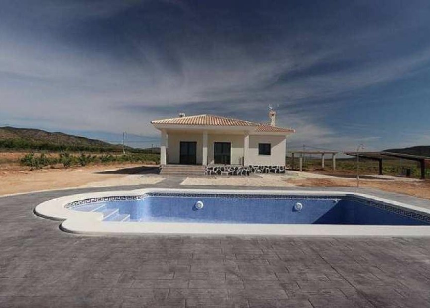 New Build - Villa - Pinoso - Camino Del Prado