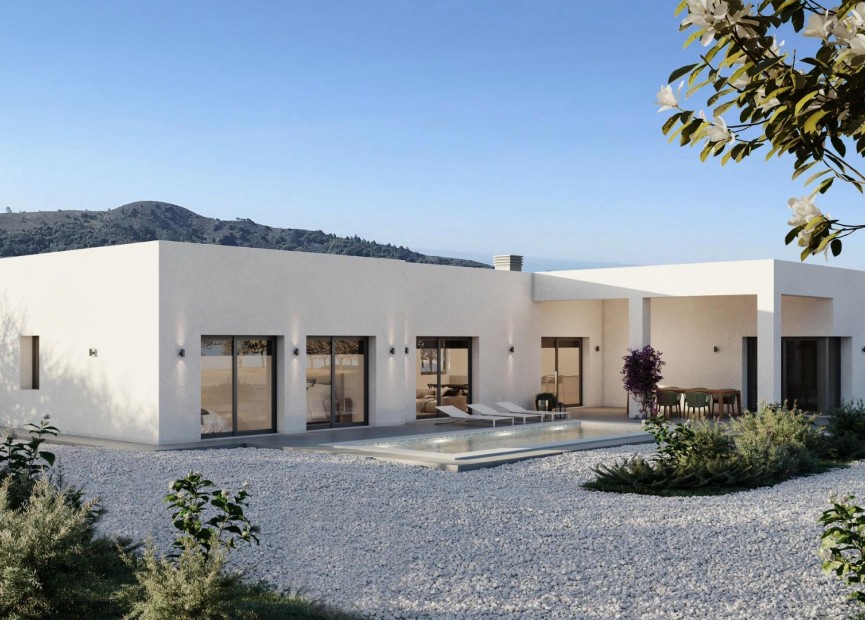 New Build - Villa - Pinoso - Campo