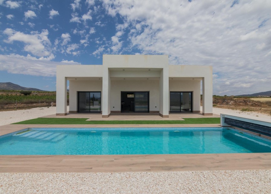 New Build - Villa - Pinoso - Campo