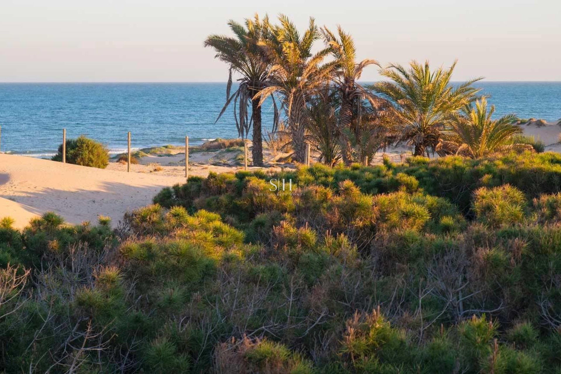 Nieuwbouw Woningen - Appartement / flat - Guardamar del Segura - Avda del Puerto