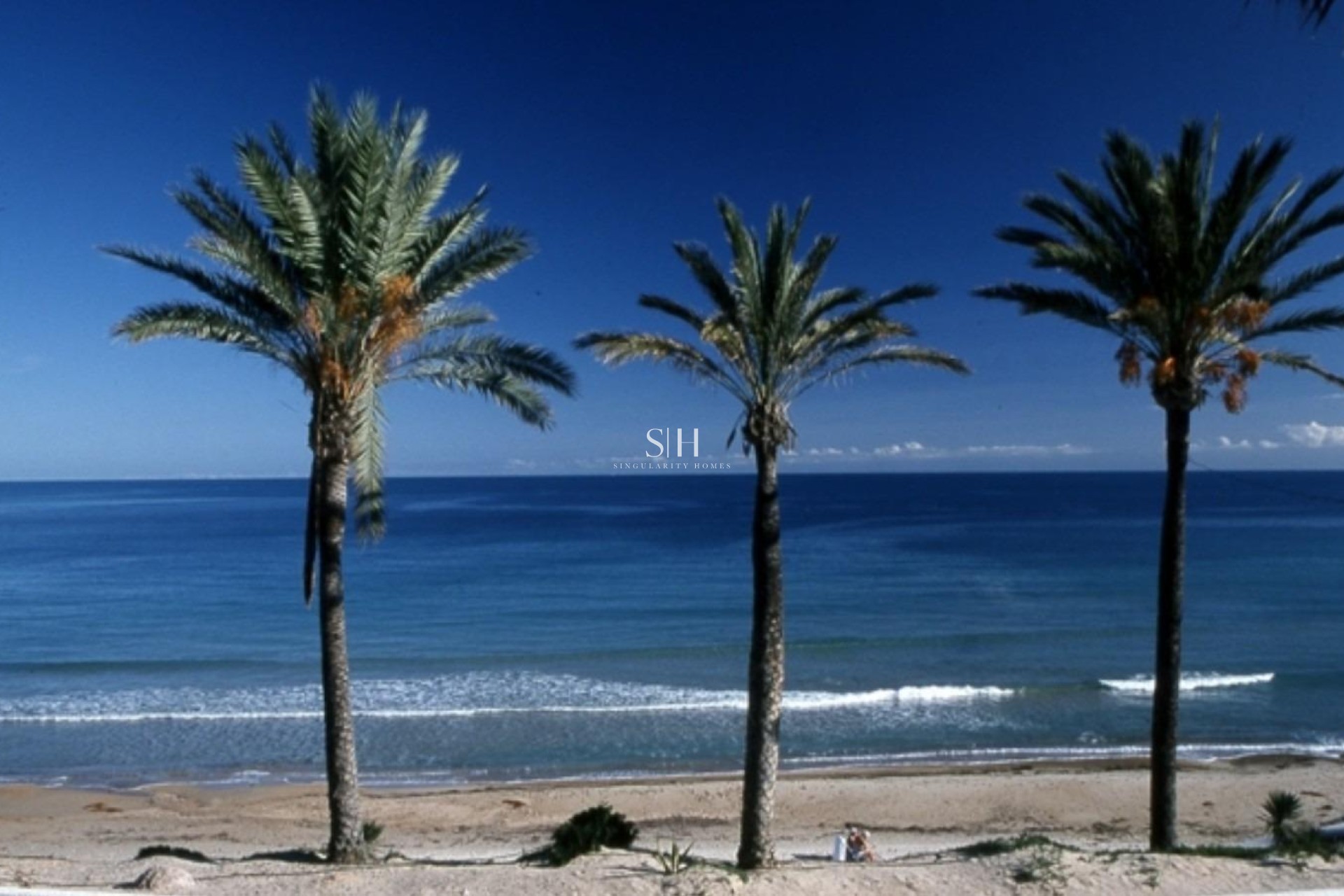 Новое здание - Бунгало - Pilar de la Horadada - Parque Ramon eugenio Escudero