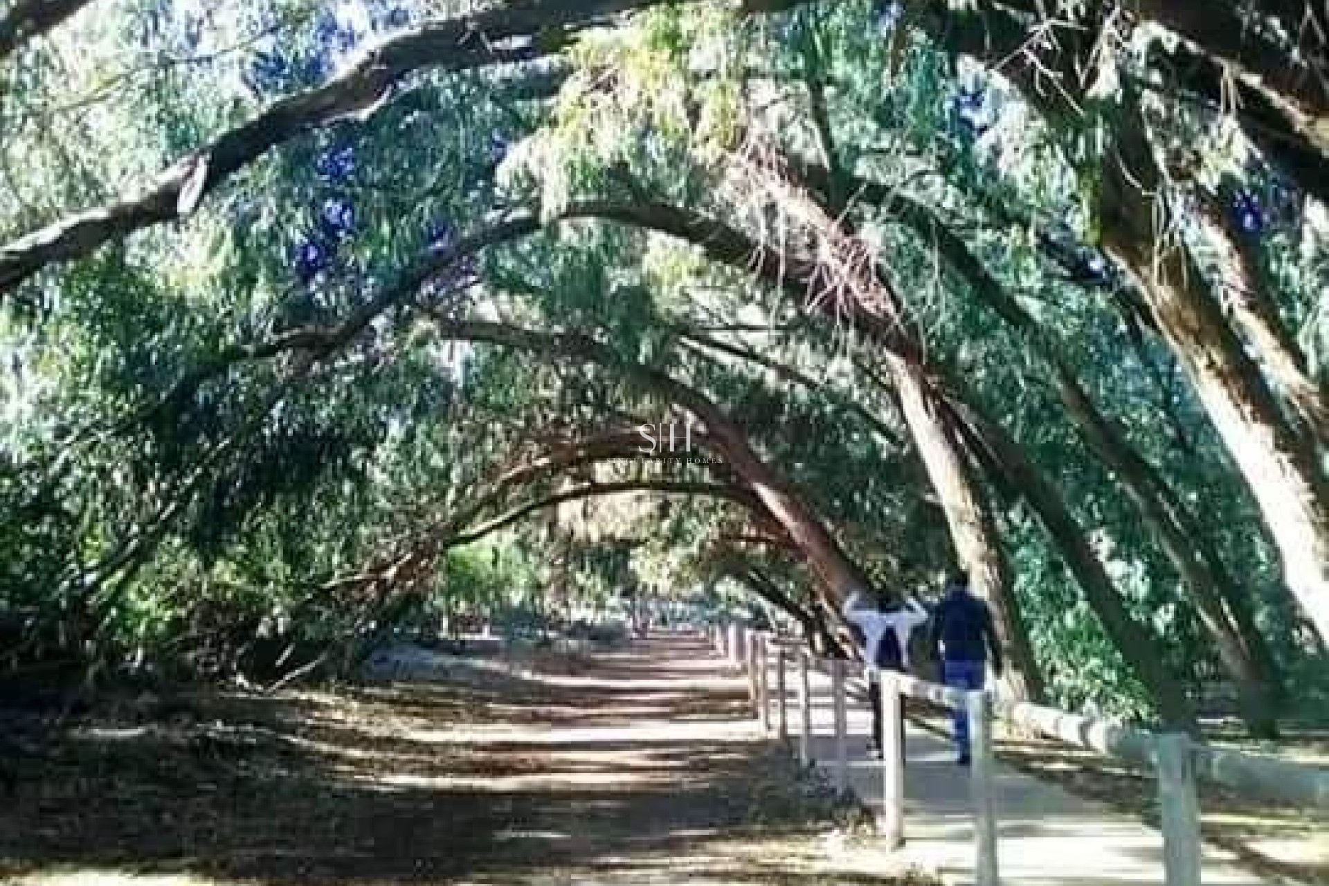 Новое здание - Бунгало - Torrevieja - Altos del Sol