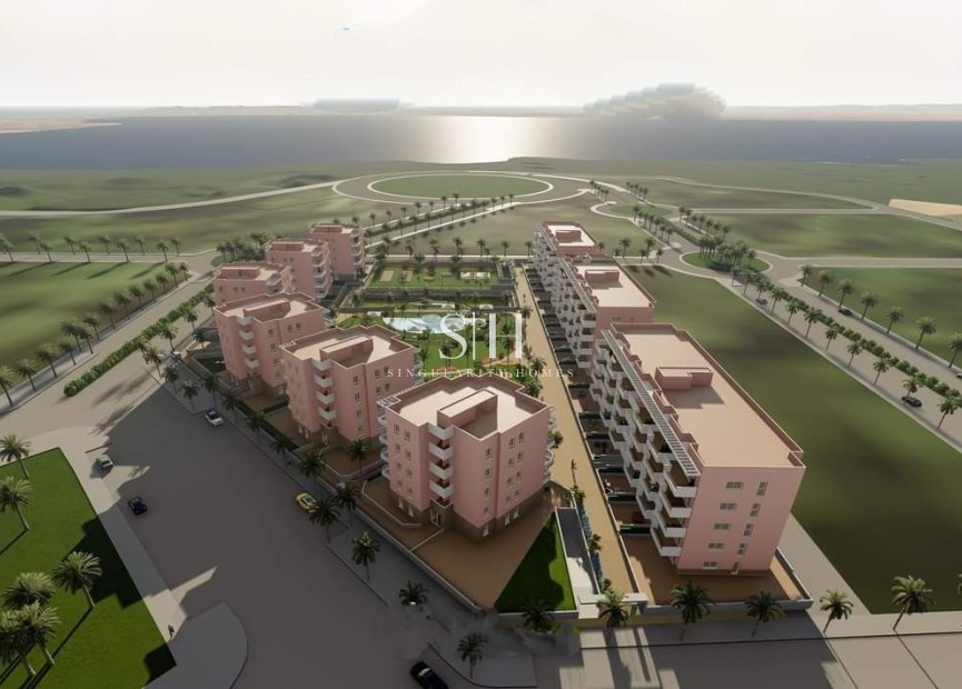Новое здание - Квартира / квартира - Guardamar del Segura - EL RASO