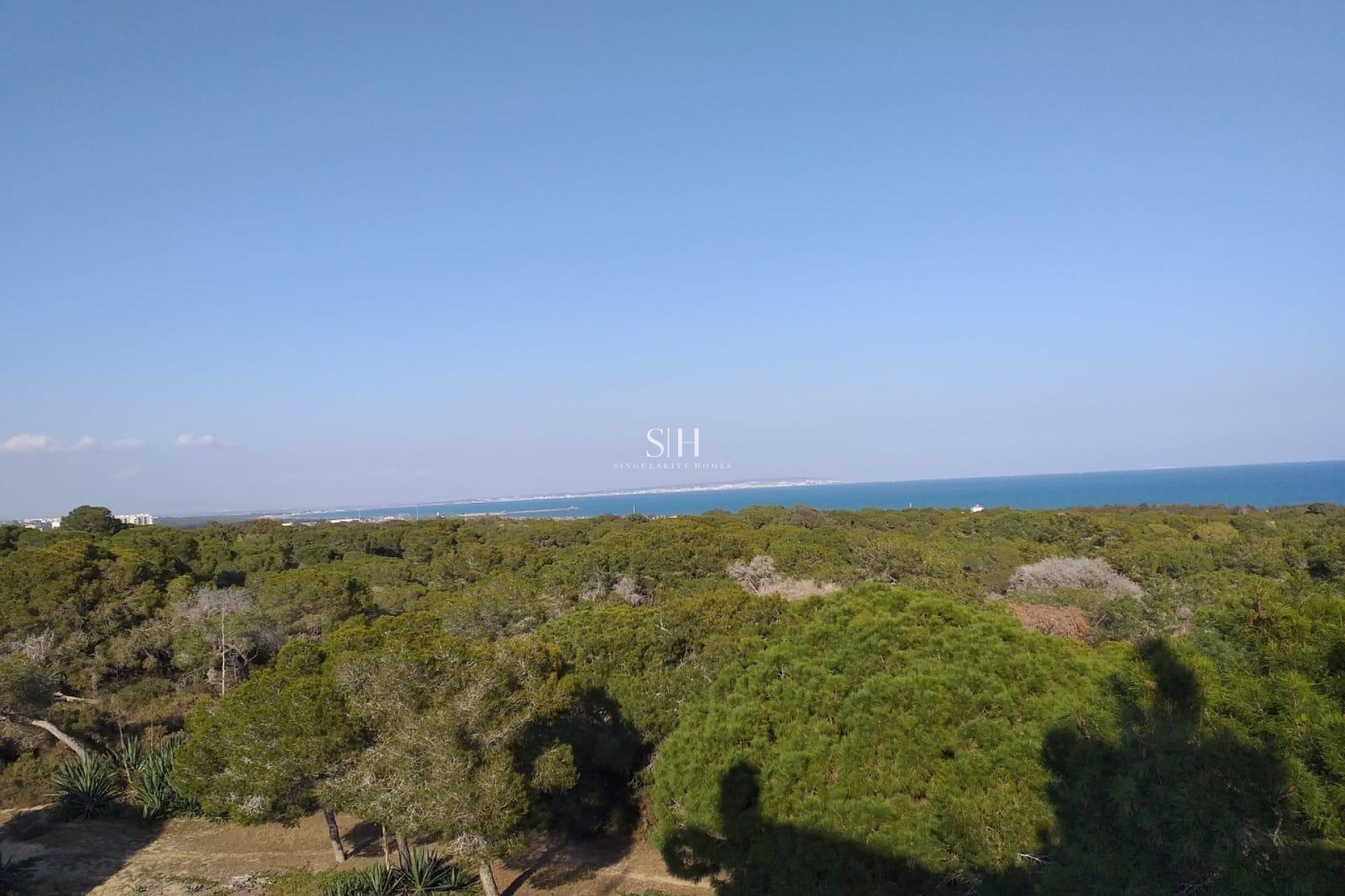 Новое здание - Квартира / квартира - Guardamar del Segura - Pueblo