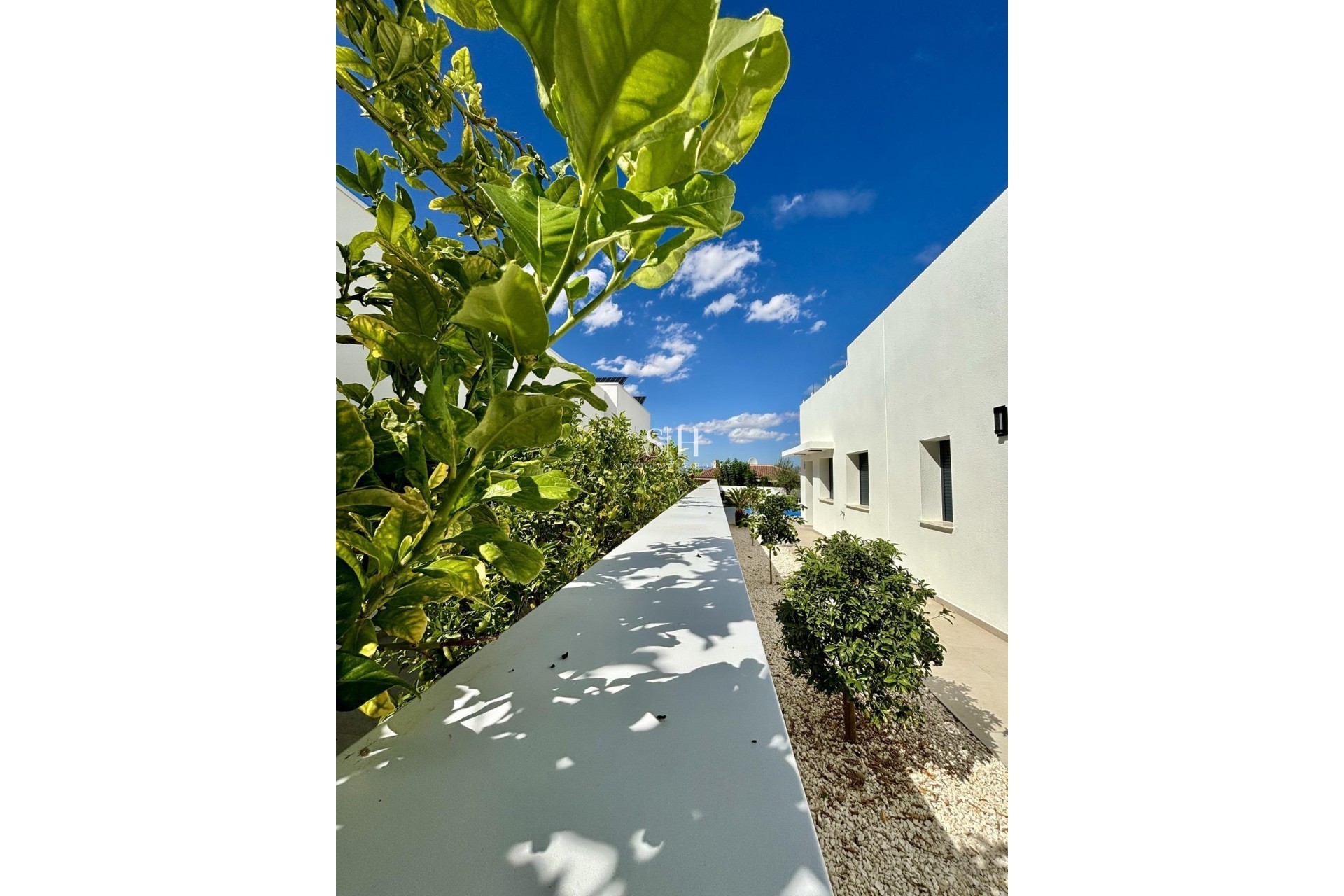 Новое здание - Villa - Benijofar - Pueblo