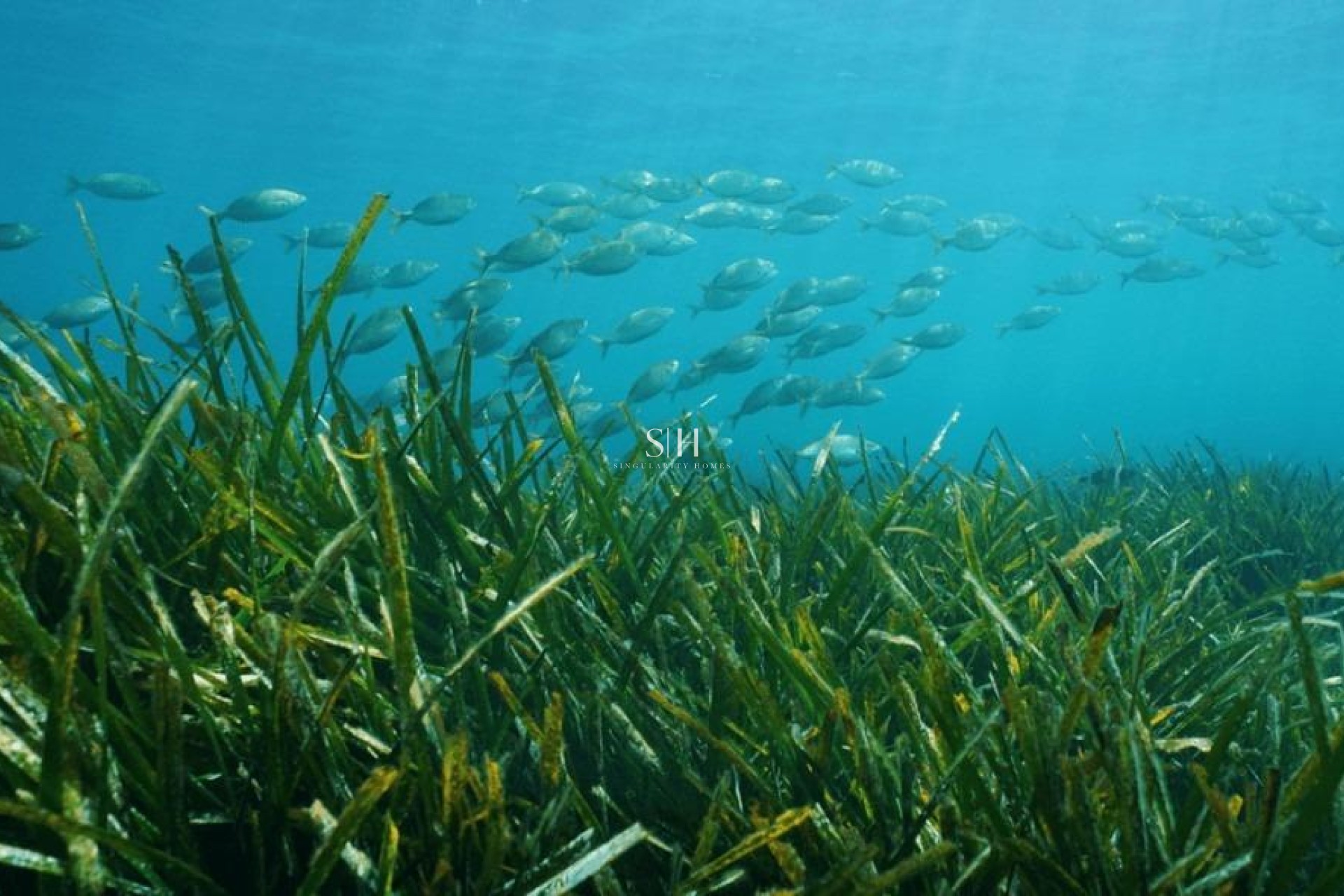 Новое здание - Villa - Benissa - Racó Del Galeno