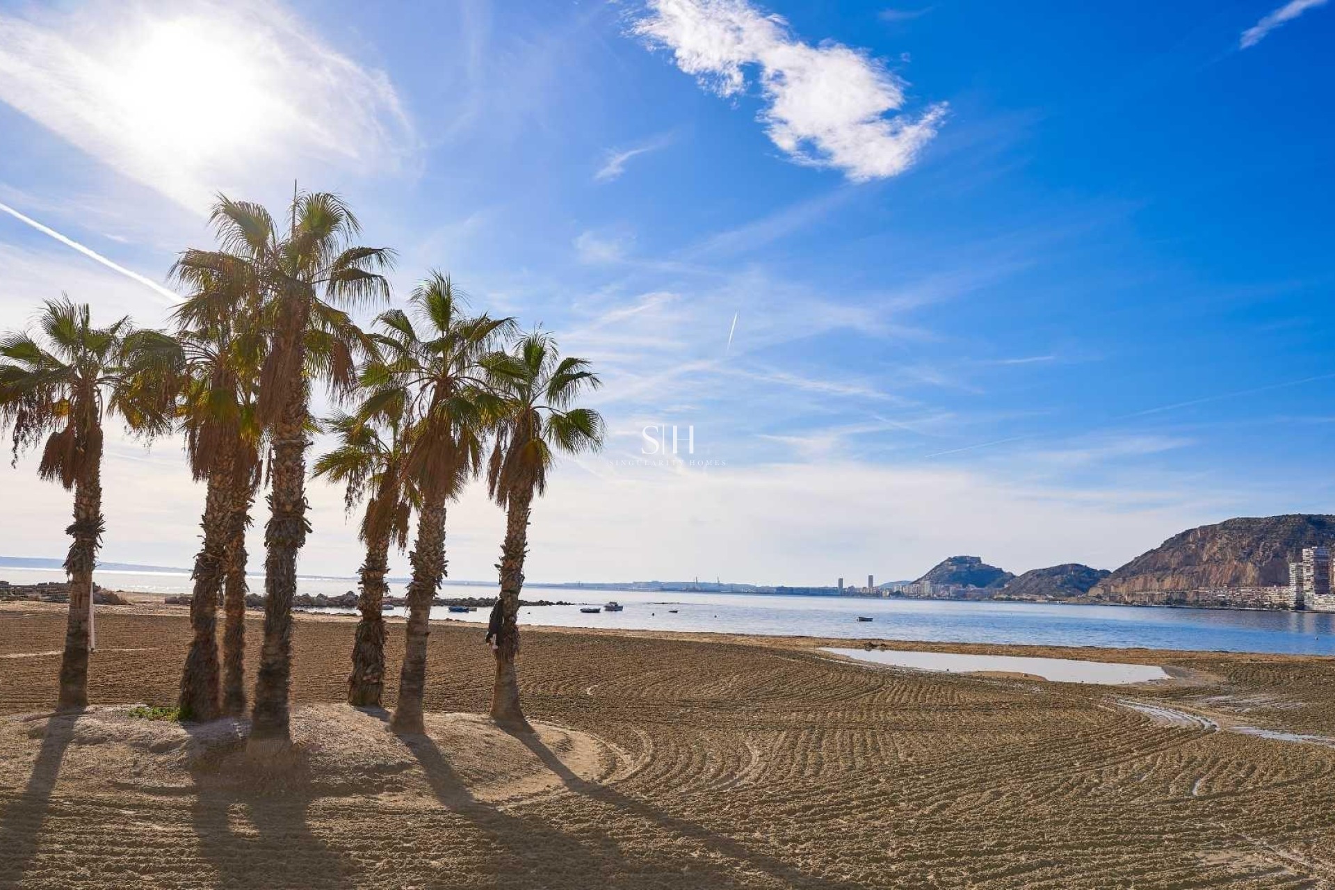 Новое здание - Villa - Els Poblets - Partida Barranquets