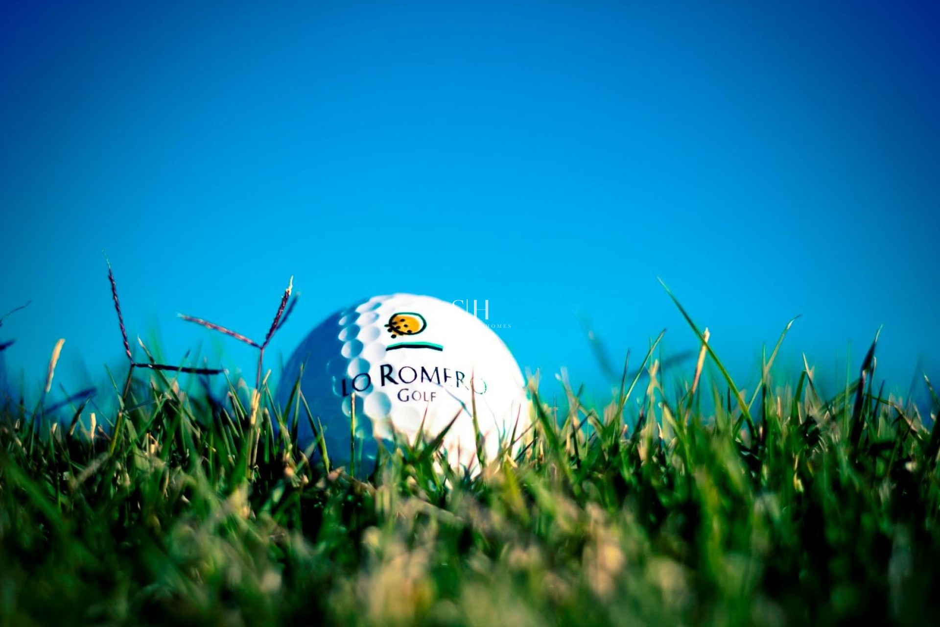 Новое здание - Villa - Pilar de la Horadada - Lo Romero Golf