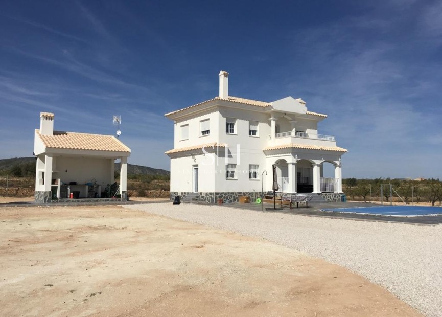 Новое здание - Villa - Pinoso - Camino Del Prado