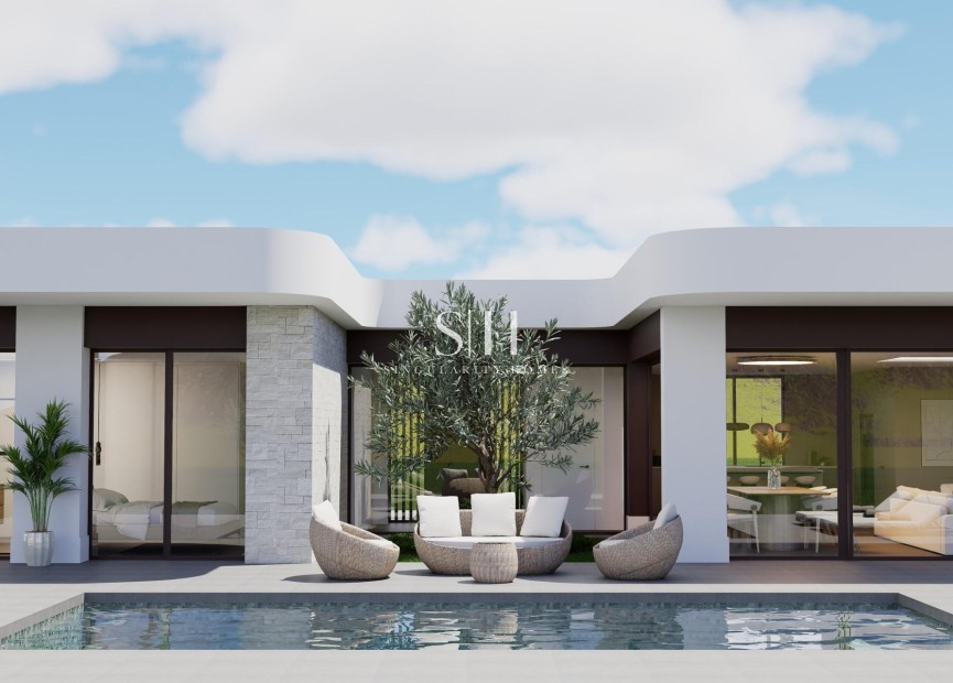 Новое здание - Villa - Pinoso - Lel