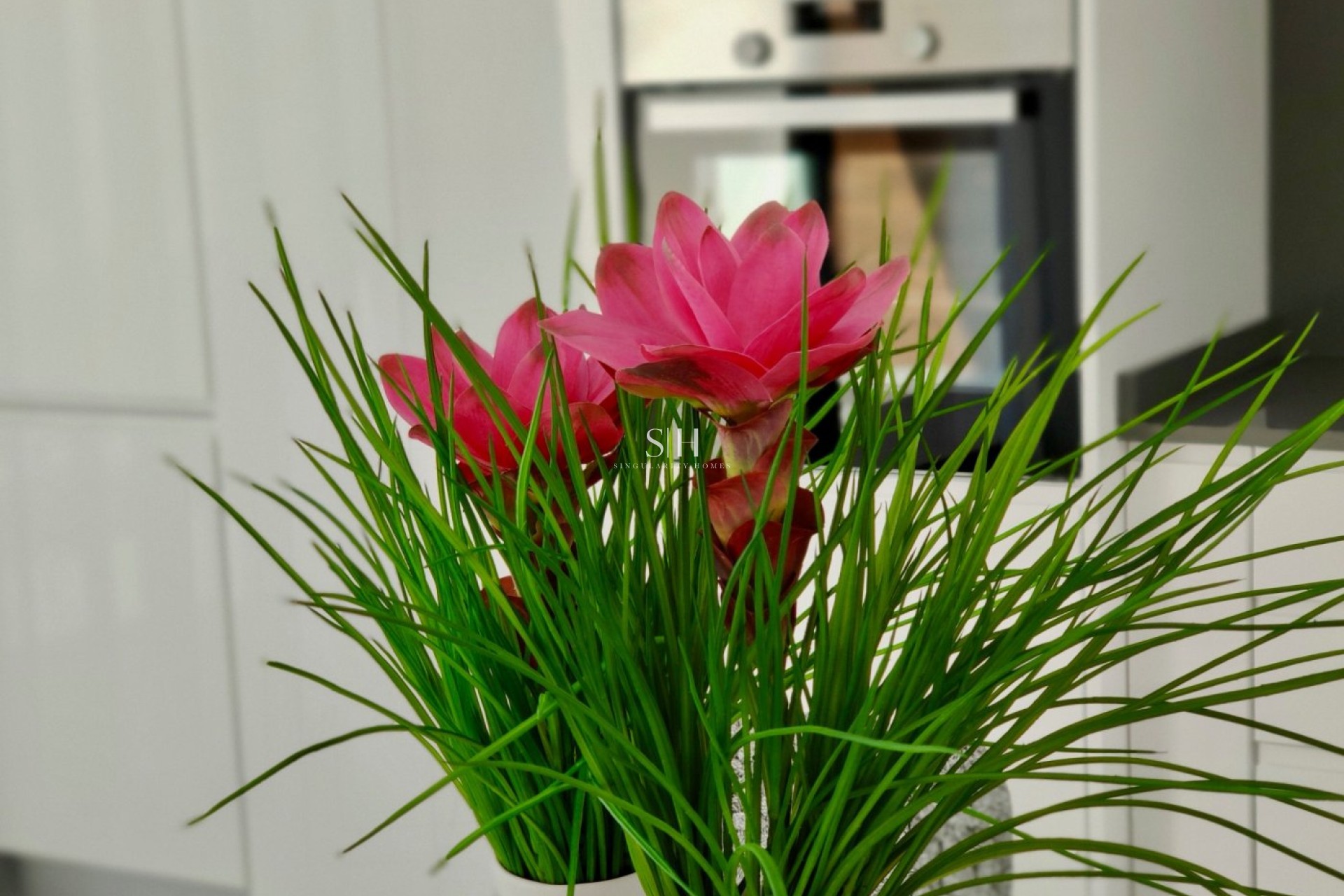 Новое здание - Villa - Polop - Alberca