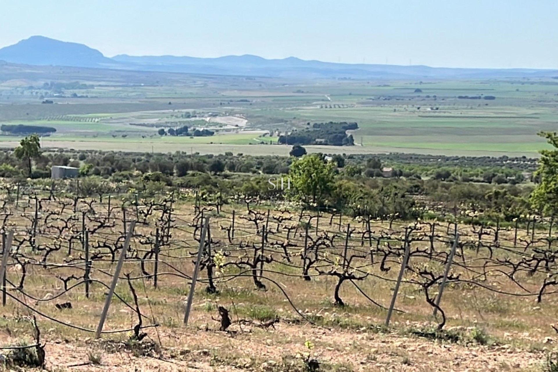 Новое здание - Villa - Yecla