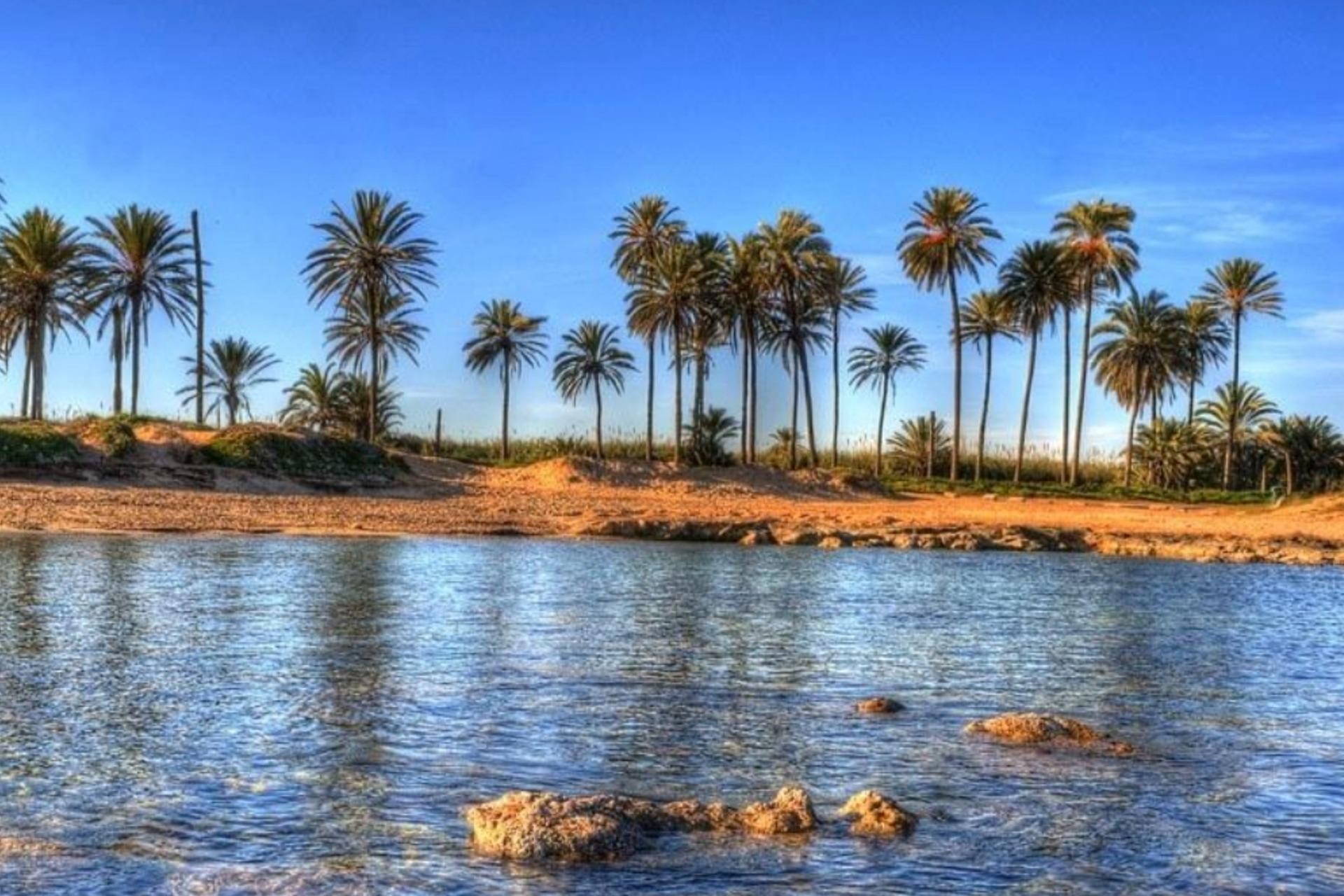 Nowy budynek - Mieszkanie w bloku - Torrevieja - Playa de El Cura