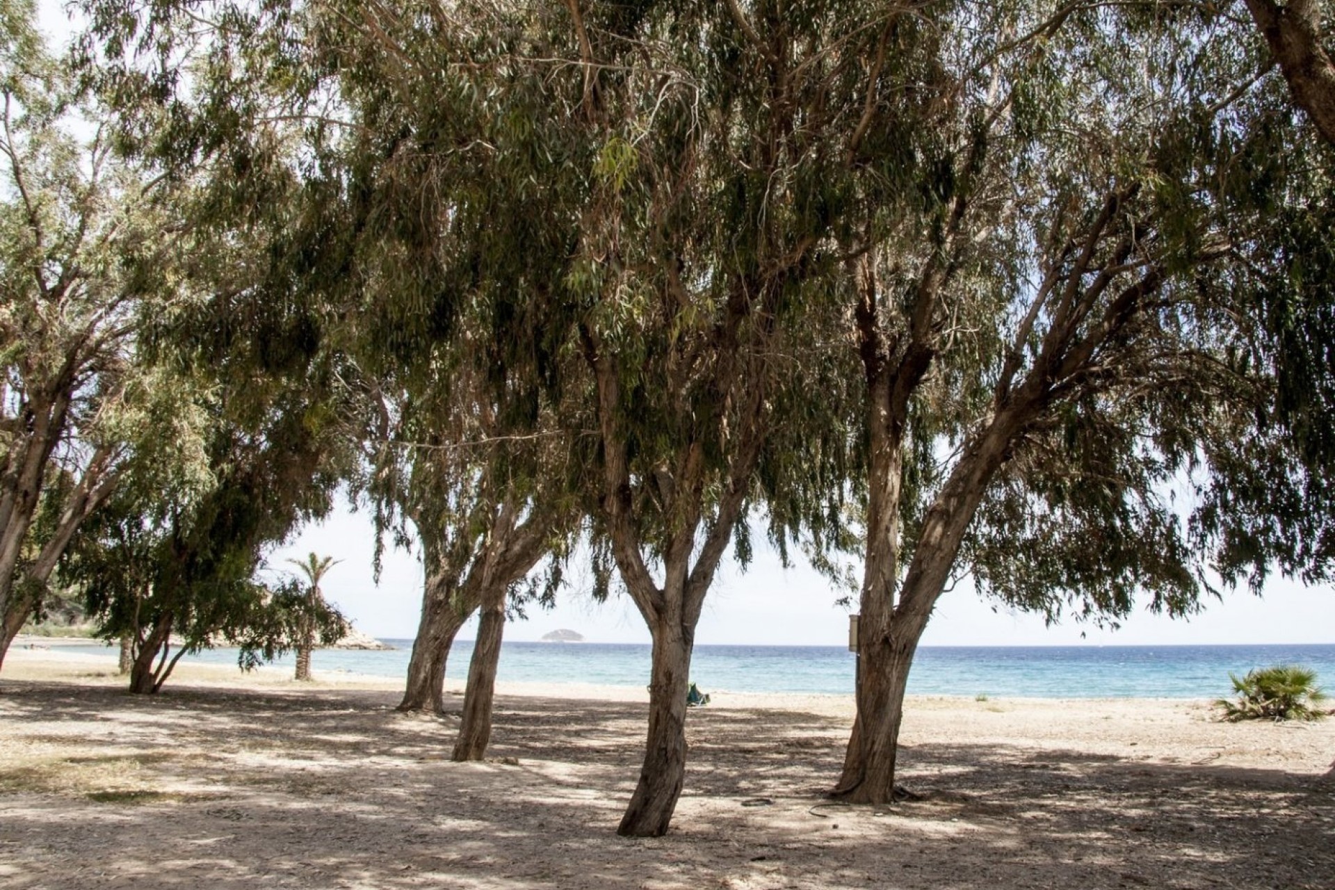 Nowy budynek - Mieszkanie w bloku - Villajoyosa - Playa Les Torres