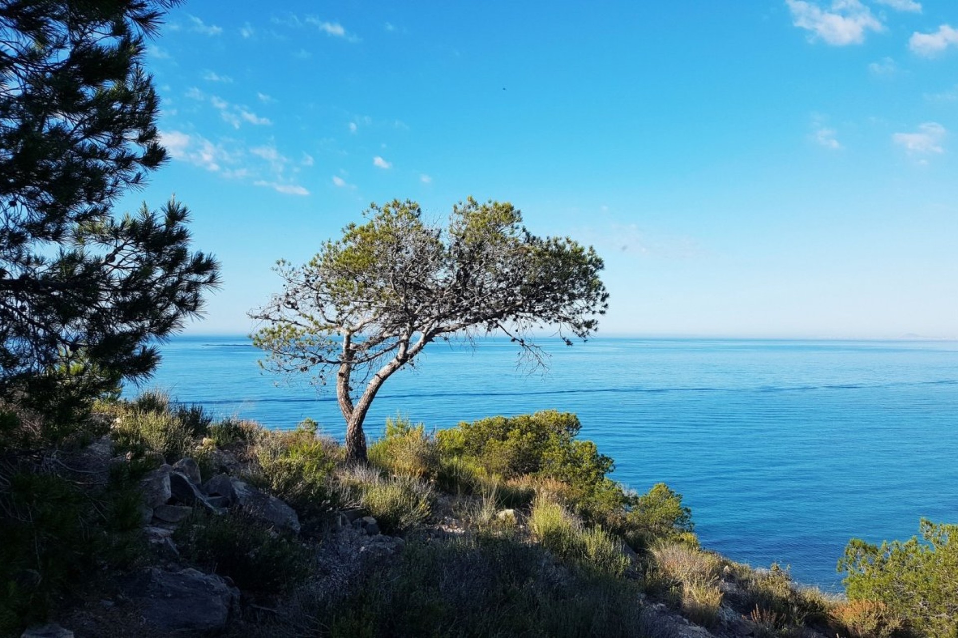 Nowy budynek - Mieszkanie w bloku - Villajoyosa - Playa Les Torres