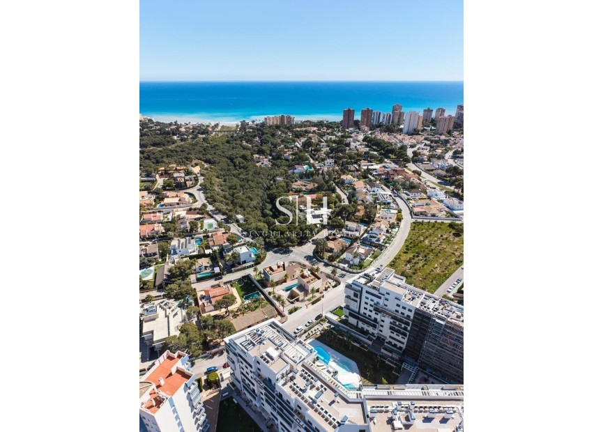 Nowy budynek - Villa - Orihuela Costa - Dehesa de campoamor