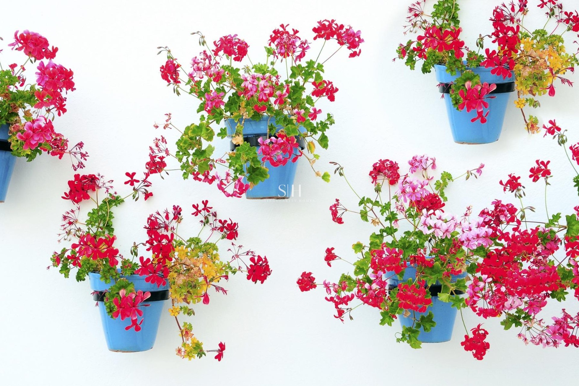 Nybyggnation - Lägenhet / lägenhet - Mijas - La Noria Golf