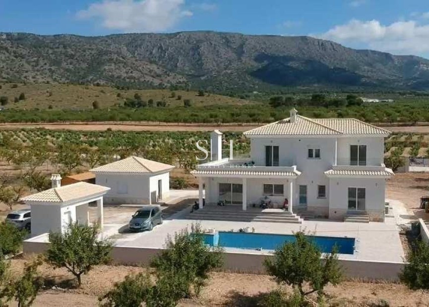 Nybyggnation - Villa - Pinoso - Camino Del Prado