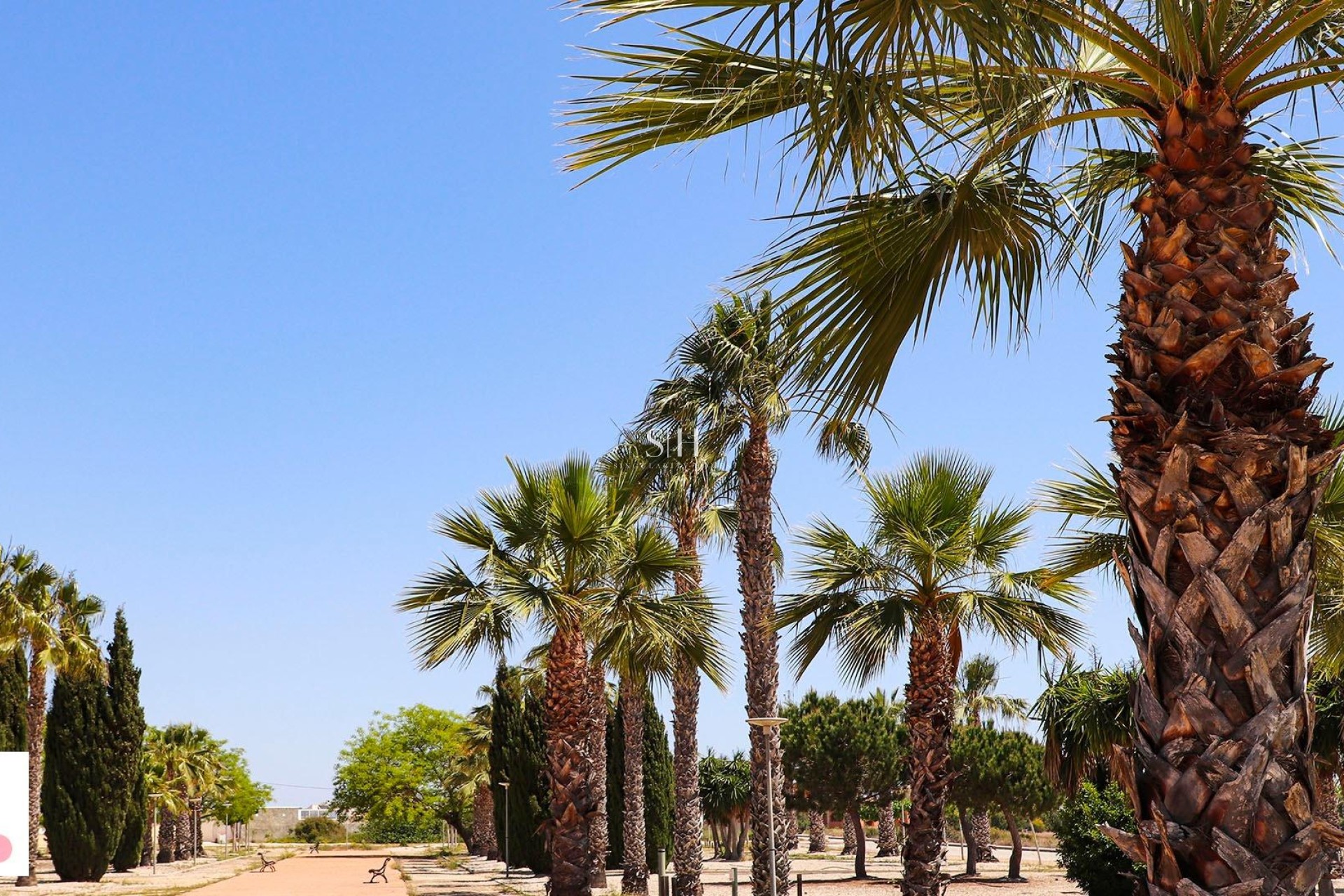 Nybyggnation - Villa - San Fulgencio - La Escuera