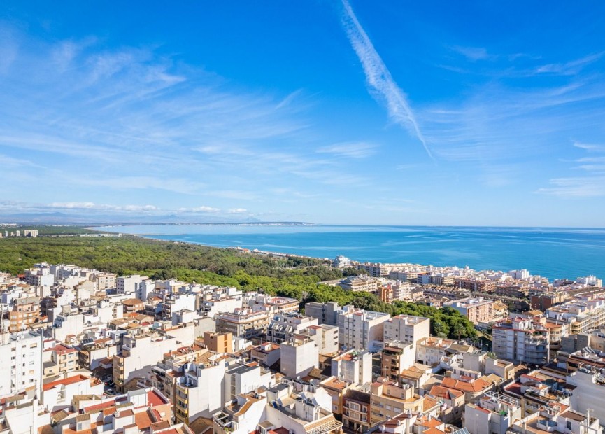 Obra nueva - Apartamento / piso - Guardamar del Segura - CENTRO