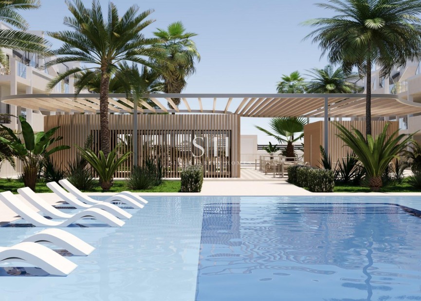 Obra nueva - Apartamento / piso - Torre Pacheco - San Cayetano