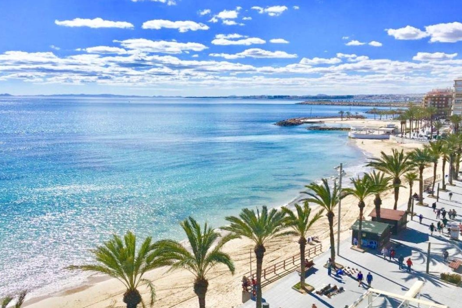 Obra nueva - Bungalow - Torrevieja - Lago Jardin