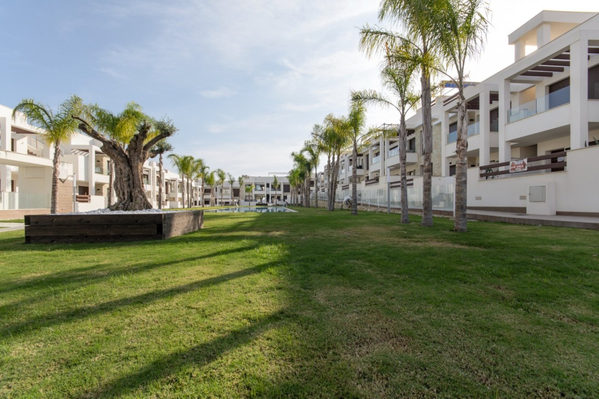 Obra nueva - Bungalow - Torrevieja - Los balcones