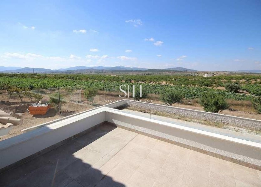 Obra nueva - Villa - Pinoso - Camino Del Prado