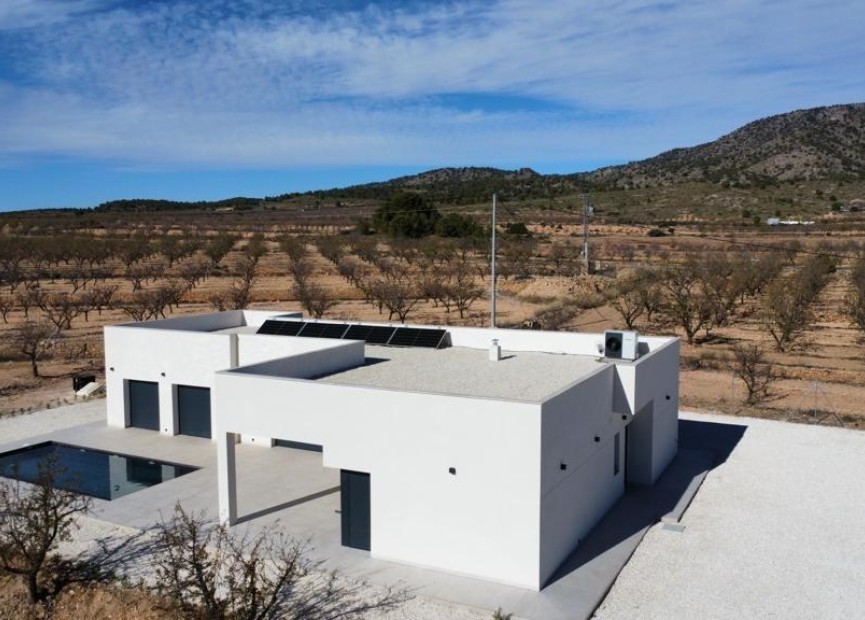 Obra nueva - Villa - Pinoso - Campo