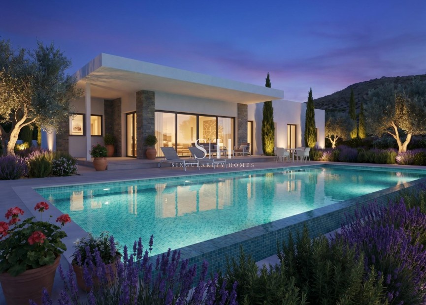 Obra nueva - Villa - Pinoso - Casas Pastor
