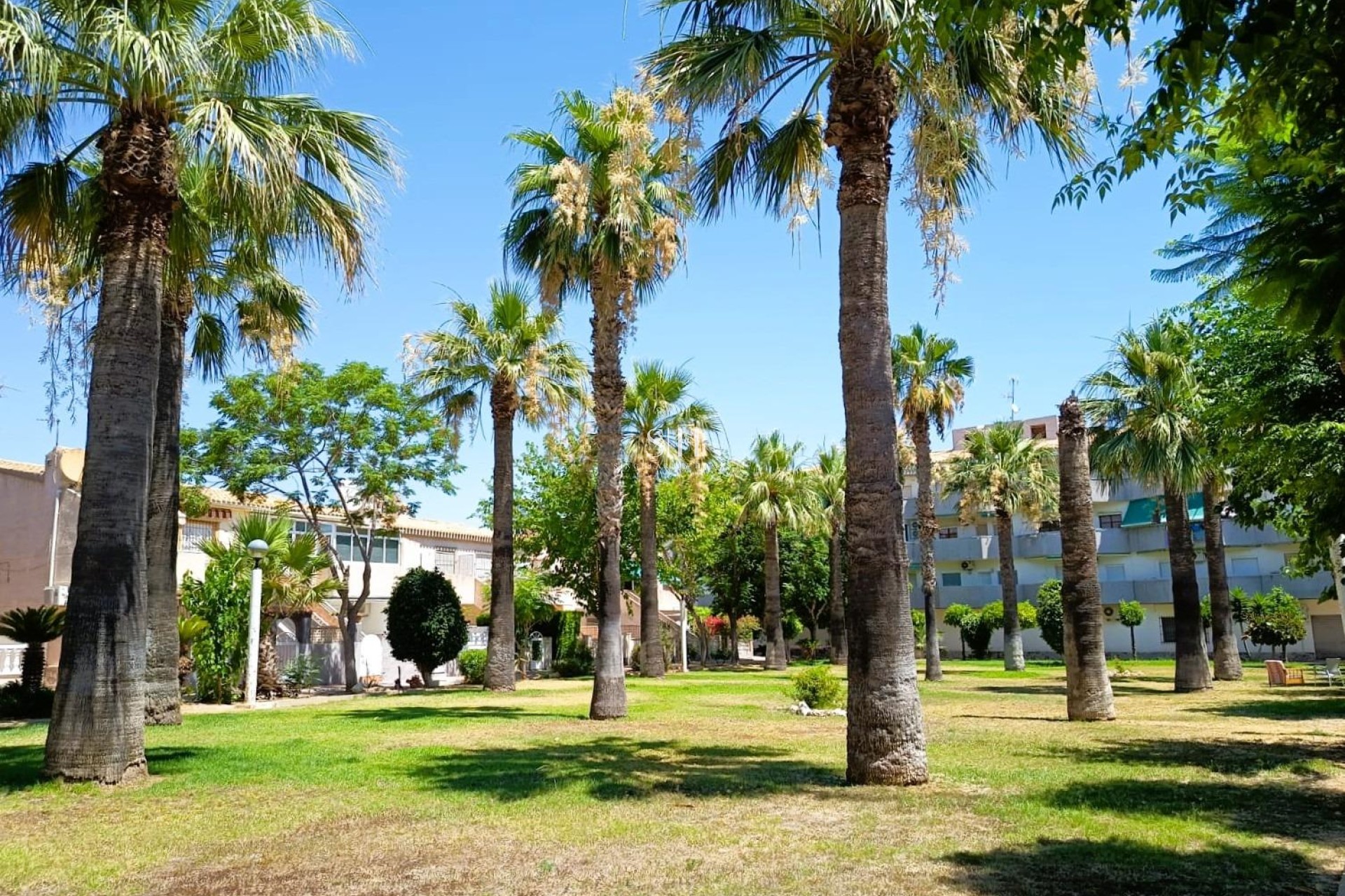 Odsprzedaż - Bungalow - Orihuela Costa - Costa Blanca