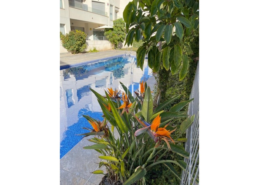 Odsprzedaż - Bungalow - Torrevieja - Costa Blanca